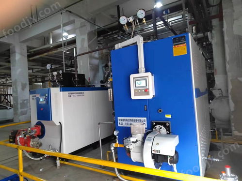 食品廠發酵罐加熱500kg燃氣蒸汽發生器 食品機械設備網